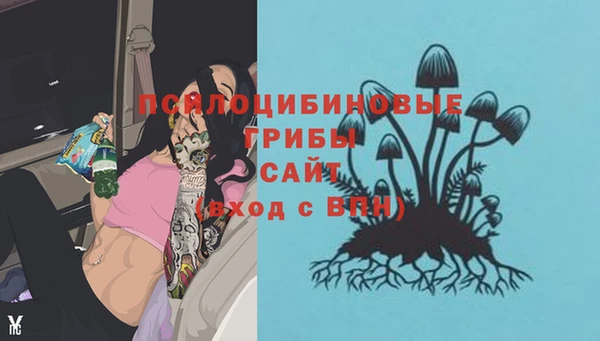 мяу мяу мука Алексеевка