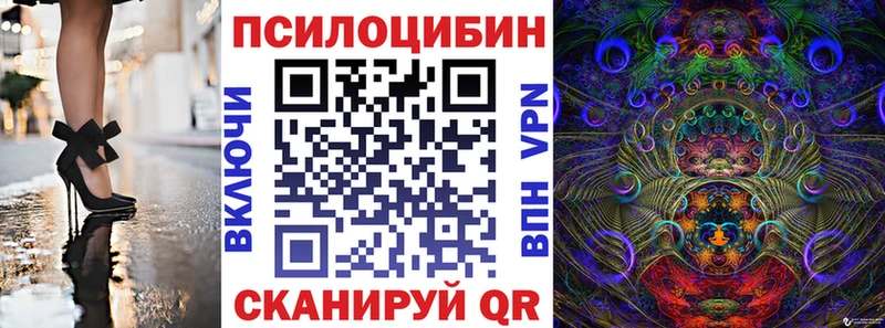 наркотики  Мензелинск  Псилоцибиновые грибы прущие грибы 